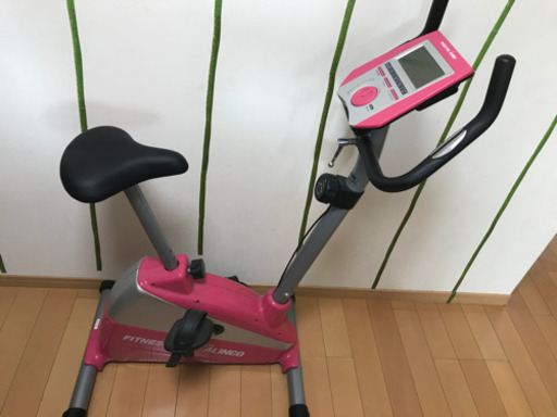fitness pro alinco