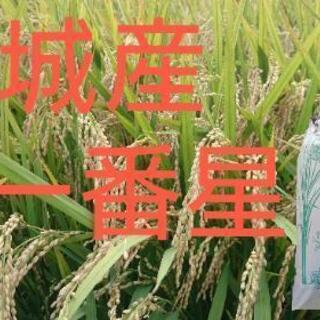 R2 新米！  一番星  先端農家のお米