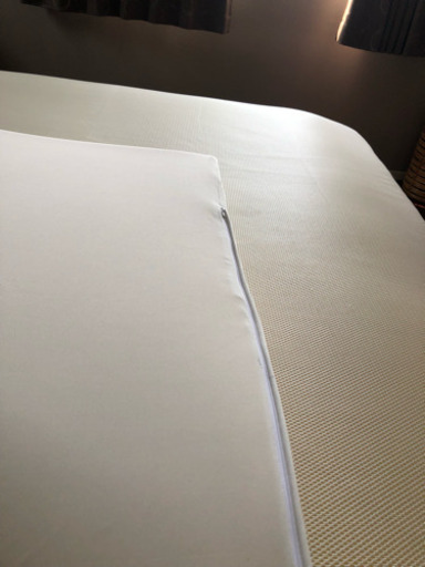 トゥルースリーパー 200*160