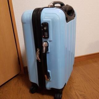 キャリーバック(決まりました）