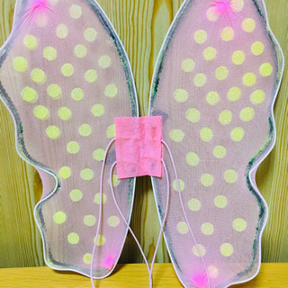 妖精の羽？　蝶々？の画像