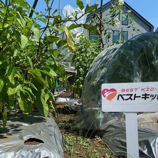 日本一優しいキックボクシングジム「ベストキッド東京」の画像