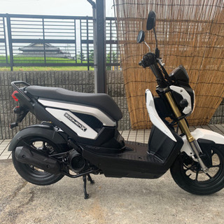 大人気‼️希少‼️ホンダズーマーX110美車‼️点検整備済みです...