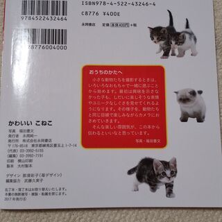 かわいいこねこ　絵本の画像