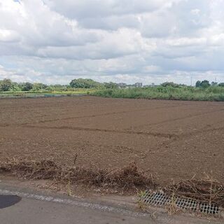 ★野菜作りに最適な81坪お貸しします★