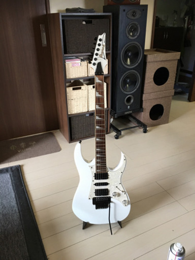 アイバニーズ　RG450DXB