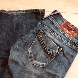 🇺🇸 デニム　tommy HILFIGER true religionの画像