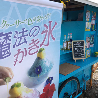パーラーぴい山ぴいの助　色が変わる魔法のシークﾜーサーかき氷の画像