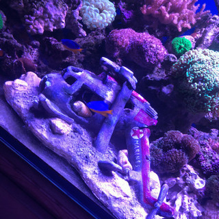 沈没ヘリ