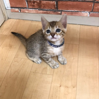 ありがとうございます😊