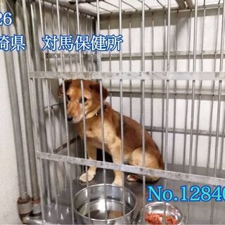 問い合わせがあり、募集は一旦停止にします⭐️🐾