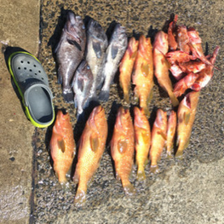 青森ボート釣り仲間募集 - 弘前市