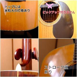 S.Yairi YD-302 ピックアップ穴加工ずみ ハードケース付の画像