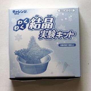 わくわく結晶実験セット（進研ゼミ小学講座付録）