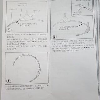 レインフォレスト・ジャンパルーの画像