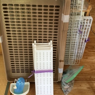 キャットゲージ