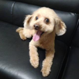 飼い主さん決まりました🐶