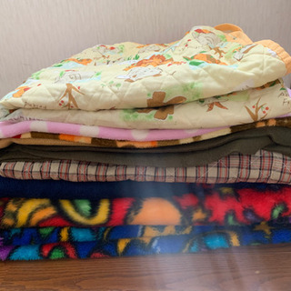 毛布(ペット用にいかが)