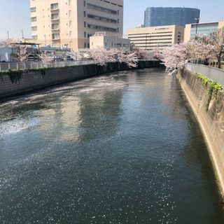 雑談でも