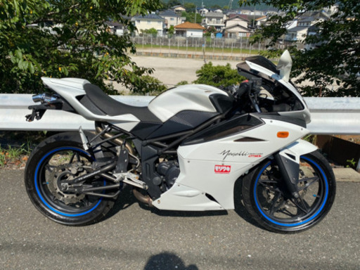 メガリ250R 社外マフラー