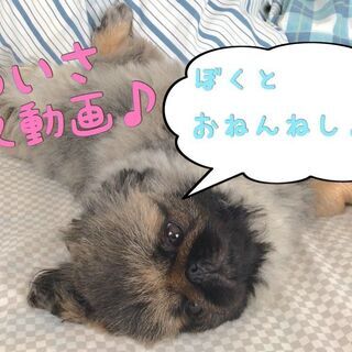 ゆるく動画編集始めみませんか？の画像