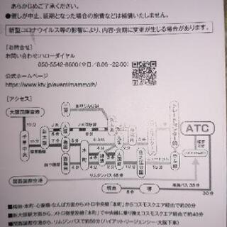 ★マンモス展★無料招待券３枚セット★大阪南港ＡＴＣギャラリー★前売りより安い！★の画像