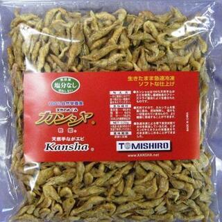 🉐熱帯魚 🦐乾燥手長エビ🦐  超得中・・・