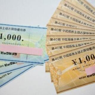 ビックカメラ株主優待券11000円分