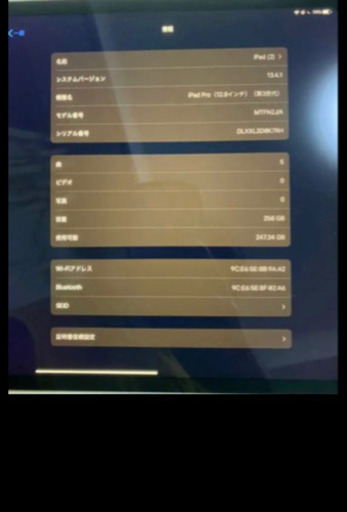 【特化】iPad Pro 第三世代 12.9inch 256GB スペースグレイ