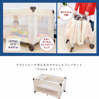 プレイヤード　の画像