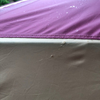 ☆テント☆Coleman（コールマン）タフドーム3025 バーガンディの画像