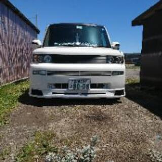 NCP BBフロントハーフ