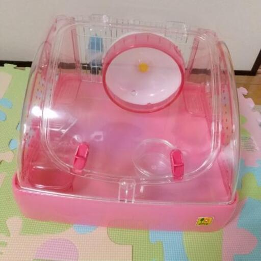取引中☆ハムスターの飼育セット