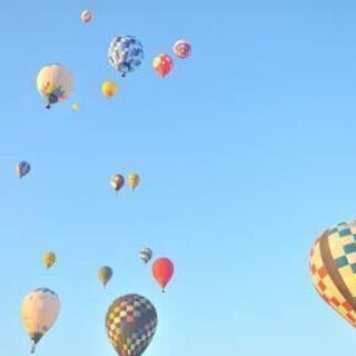 ZOOMでお話しできる方、募集しています🌼