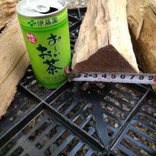 広葉樹の薪！ケヤキ、モチノキ、サンゴジュ、ブナ、タブノキなど。長さ35cm。2夏乾燥。含水率17%程度。茨城県潮来市。の画像