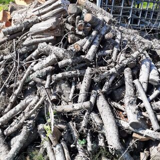もみ　枝　ストーブ薪　100キロ単位　の画像