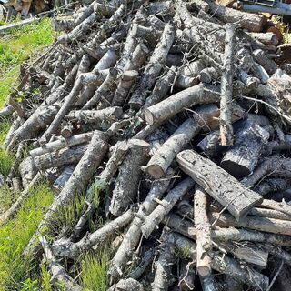 もみ　枝　ストーブ薪　100キロ単位　の画像