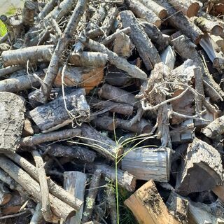 もみ　枝　ストーブ薪　100キロ単位　の画像