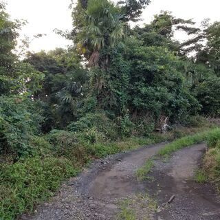 神奈川県藤沢市西俣野0円物件 - 藤沢市