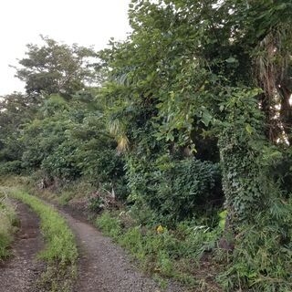 神奈川県藤沢市西俣野0円物件 − 神奈川県