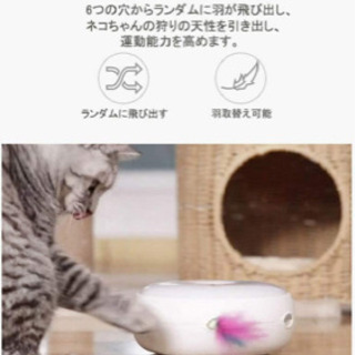猫用　羽の飛び出すおもちゃの画像