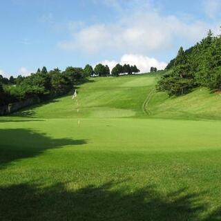 一緒にゴルフしませんか⛳