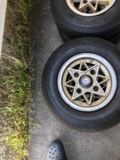 スターシャーク　10インチ　pcd114.3