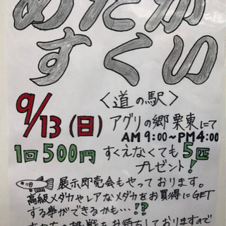 めだかすくい　9/13