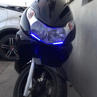 pcx 125cc の画像