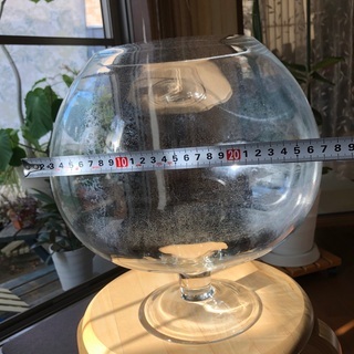 ガラス容器（大）の画像