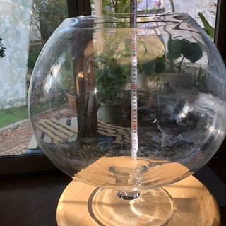 ガラス容器（大）の画像