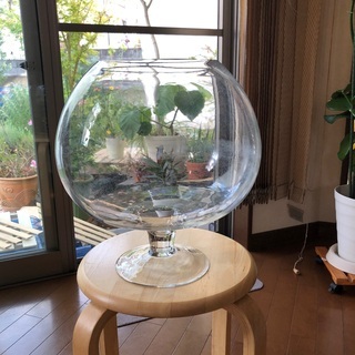 ガラス容器（大）