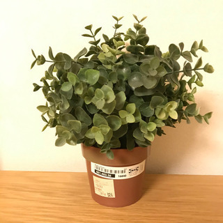(お取引中)IKEA フェイクグリーン 人工観葉植物の画像
