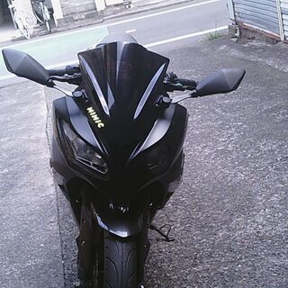 【受け渡し終了】2016年式　ニンジャ250　NINJA250　カウル割れアリ激安だと思いますが、、、何か？の画像